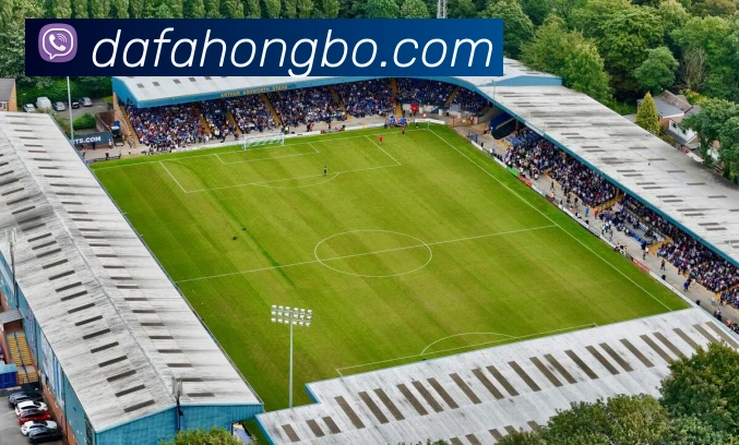 大发彩票平台生态图